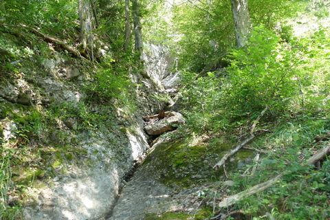 Wanderweg auf den Vitznauerstock