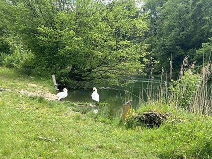 Fotografie z Silvia Hollenstein na trase