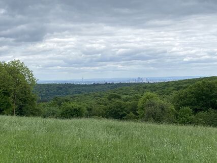 Foto von Arthur Muskalla entlang der Tour