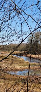 Foto da Hans Wierenga lungo il tour