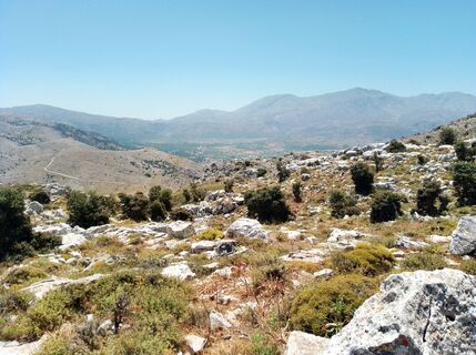Photo de MopsBiene le long du parcours