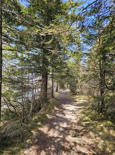 Foto von Martina entlang der Tour