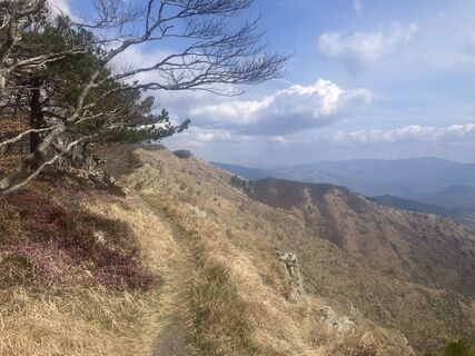 Zdjęcie z MaurizioPighin wzdłuż trasy