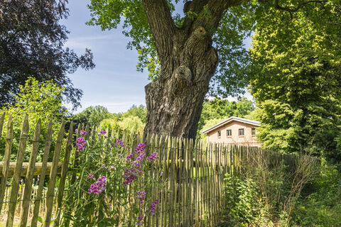 Wassermühle Neumühlen