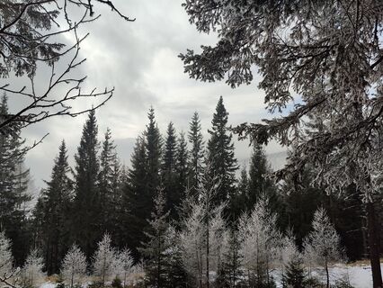 Fotografija s spletne strani Lena Eder na poti