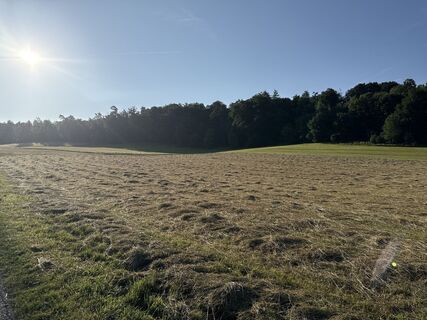 Photo de Marius Czerny le long du parcours