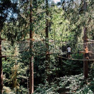 JOsalzburg-baumparcours