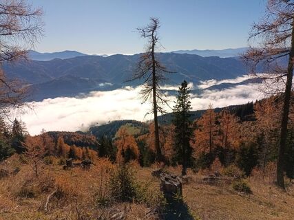 Photo de Harald Bäck le long du parcours