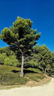 Photo de Fabrizi Mellano le long du parcours