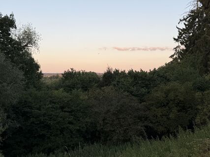 Fotografie z Schaali na trase