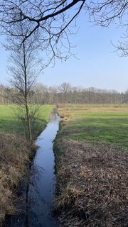 Photo de Otto Van Hooijdonk le long du parcours