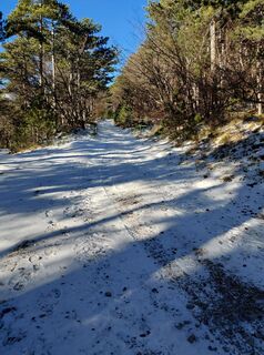 Zdjęcie z Johann Neubauer wzdłuż trasy