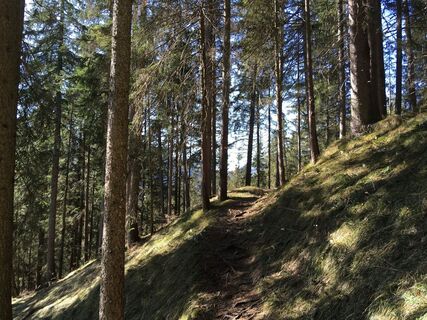 Entlang des Weges