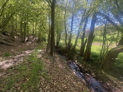 Fotografija s spletne strani Anja Richter na poti