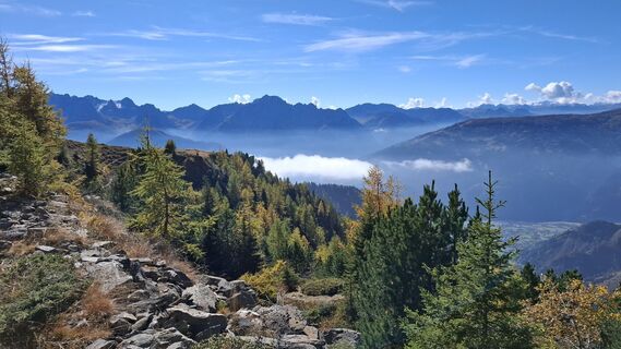 Foto von layabout entlang der Tour