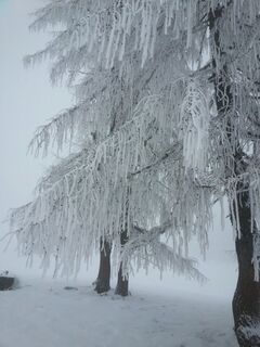 Kalter Wintertag am Spielberg