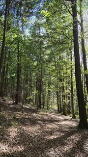 Foto von Bergamotte70 entlang der Tour