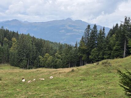 Foto von Walter Dienstl entlang der Tour