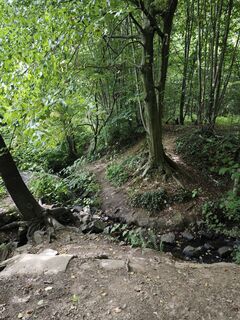 Fotografija s spletne strani Björn Heun na poti