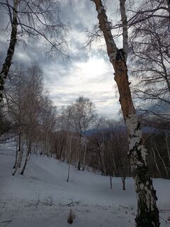 Foto de Aner a lo largo del recorrido