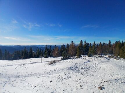 Foto von Daniel Kremiec entlang der Tour