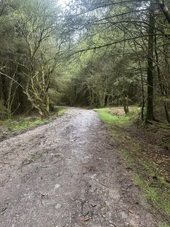 Photo de Maximilian Schranz le long du parcours