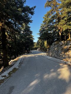 Foto von Michael Exeli entlang der Tour