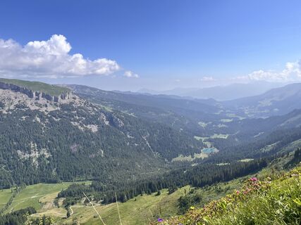 Foto von Susanne Gabler entlang der Tour