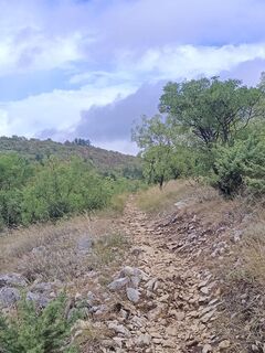 Foto von Pinzger Petra ♀️?? entlang der Tour