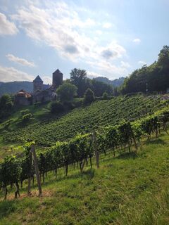 weinlehrpfad_img_60812861