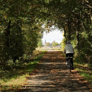 Schinderhannes-Radweg - Kurz vor Lingerhahn