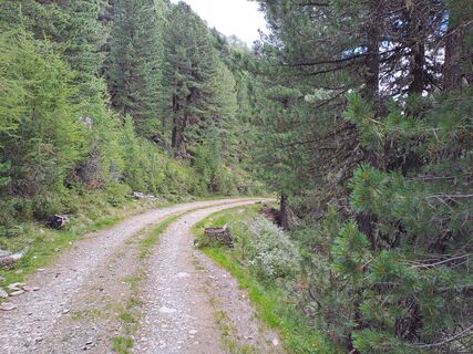 Fotografia z Wanderbursche66 na trase