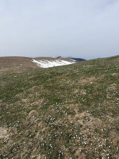 Foto von Sisto Contessotto entlang der Tour