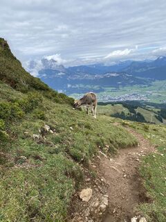 Foto von Michael Enzinger entlang der Tour