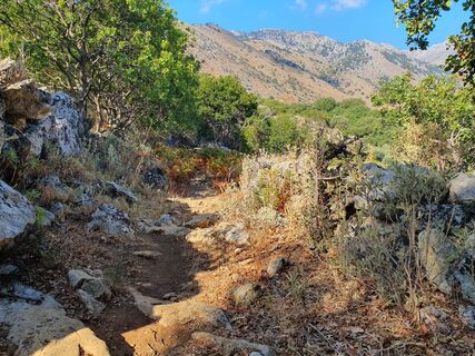 Foto de danielhenisch a lo largo del recorrido
