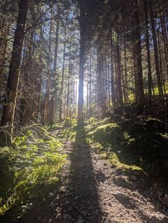 Photo de Julian Lewisch le long du parcours