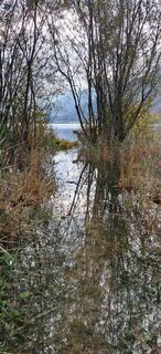 Foto von Buchegger Barbara entlang der Tour