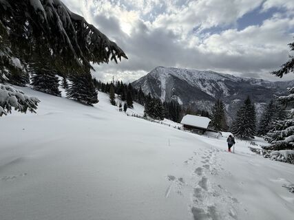 Foto von Natur_erleben_dg entlang der Tour