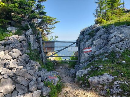 Foto från Evelynchen under resans gång