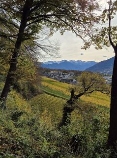 Fotografija s spletne strani alinradu na poti