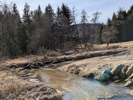 Fotografia z karin1108 na trase