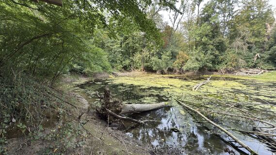 Foto de Horst-Dieter Lutz a lo largo del recorrido