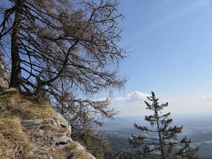 Foto von Birgit Zückert entlang der Tour