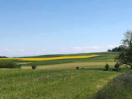 Felder und Wiesen