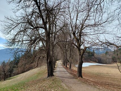 Foto von Sabine Steuxner entlang der Tour