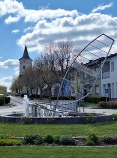 Foto de Mimi a lo largo del recorrido