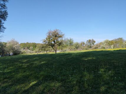 Foto de Poschacher a lo largo del recorrido