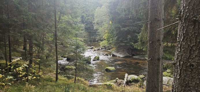 Fotografia z Berni_S na trase