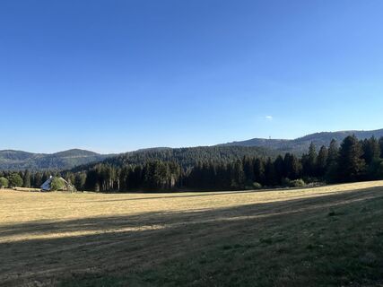 Foto von Frank Nagel-Gallery entlang der Tour
