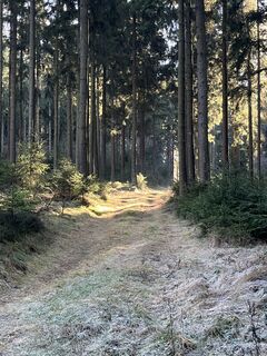 Fotografia z Alfred Weber na trase
